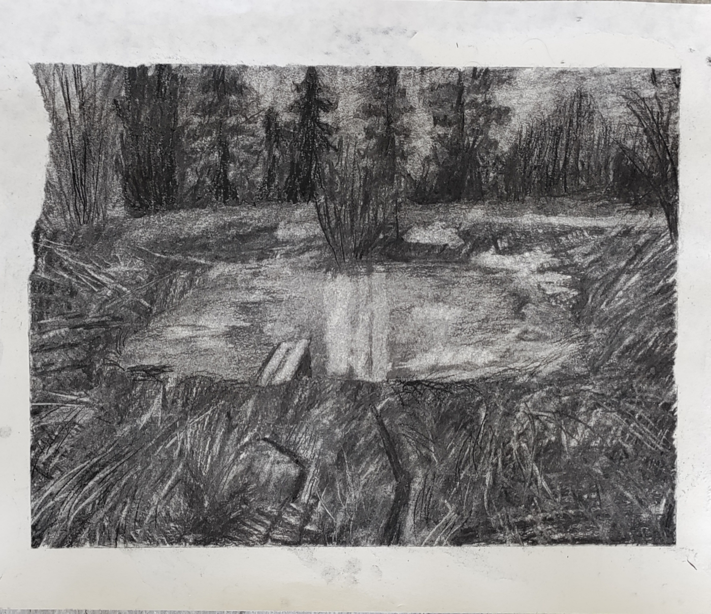 Healing Places, 35,5cm x 42cm, hiili paperille, 2025. Kuva: Silja Uuttula