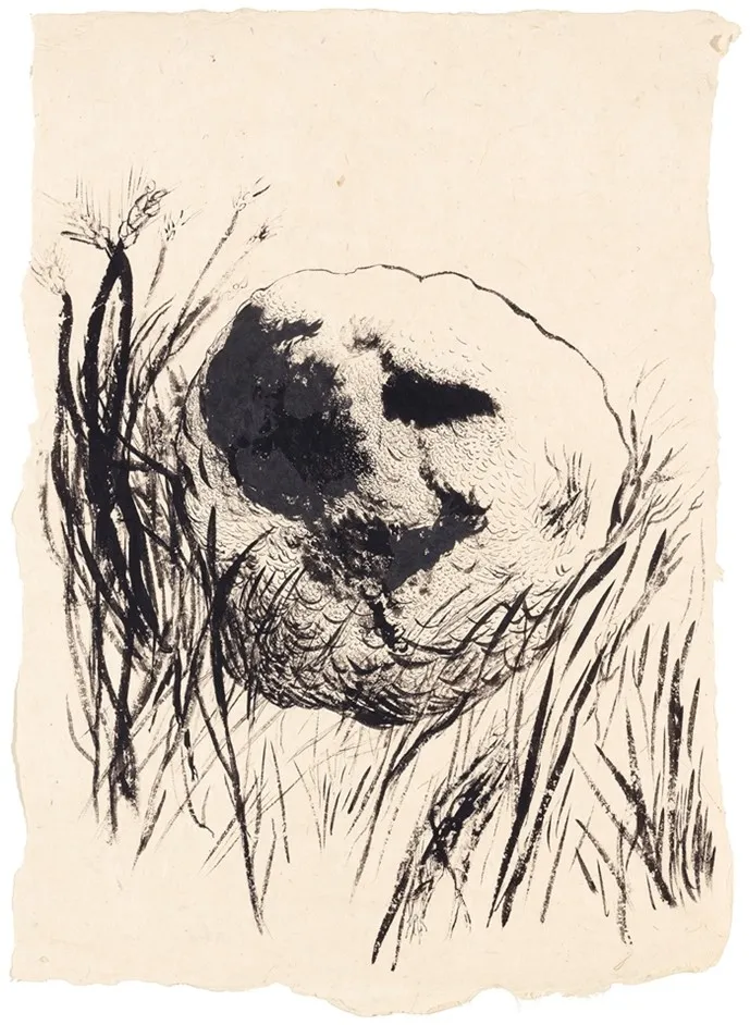 Kiviystävä / Stone Friend, 2024 –25, muste käsintehdylle paperillle / bläck på handgjort papper / ink on handmade paper, 54,5 x 39,5 cm,  yksityiskokoelma